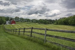 Landscape,Picture,Of,A,Farm,Pasture,Enclosed,By,Rustic,Fencing